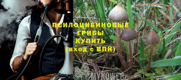 шишки Баксан