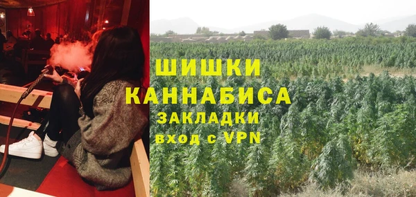 шишки Баксан