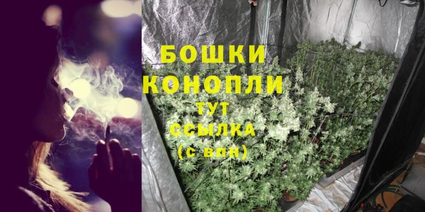 шишки Баксан