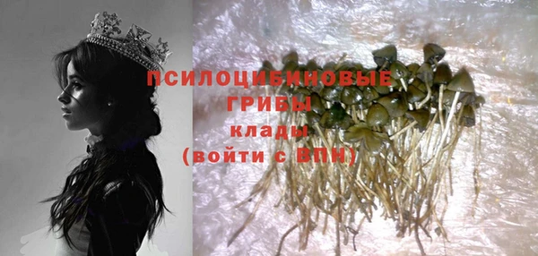 гидропоника Балабаново