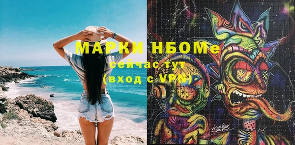 шишки Баксан
