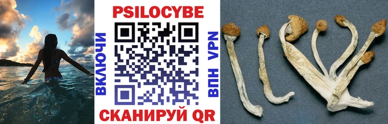хочу наркоту  Котлас  Галлюциногенные грибы мухоморы 